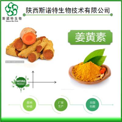 水溶性 SC资质 姜黄提取物 姜黄粉95% 斯诺特生物