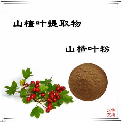 沃特莱斯生物 山楂叶提取物10:1 浸膏粉 水溶 喷雾干燥工艺