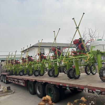 大豆玉米小麦蔬菜喷药机 四轮转向打药车 乘坐式高架打药机