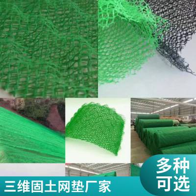EM5植草绿化世杰三维植被网垫 河道护坡固土 规格全施工简单