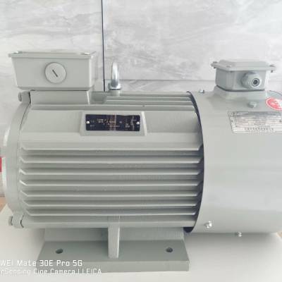 上海德东电机 厂家批发 YVF2-802-4 0.75KW 变频调速电动机