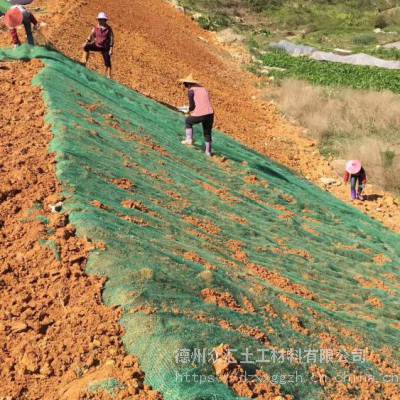 水流从刷边坡修复三维植被网-矿山固土绿化三维植被网