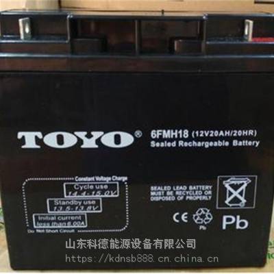 TOYO东洋蓄电池6GFM20 12V20AH UPS电源 EPS直流屏专用电瓶正品