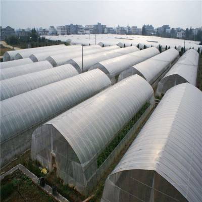 延边养鸡养殖温室大棚设计厂家 钢结构抗风防雪 鲁苗
