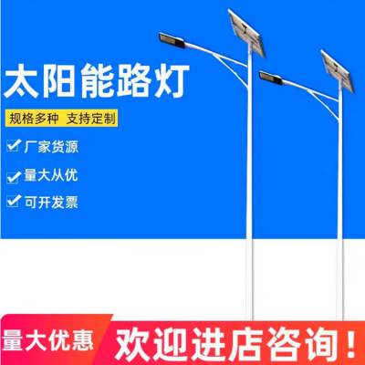 新农村市电LED路灯5米6米7米8米超亮节能防水大功率工程户外路灯