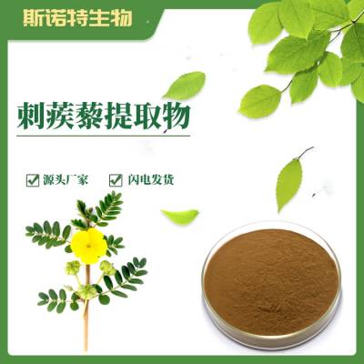 刺蒺藜提取物 厂家供应 多规格刺蒺藜皂甙