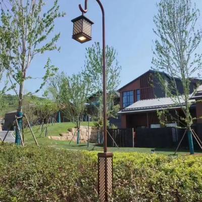 桂林阳朔太阳能庭院路灯杆篮球场灯光照明杆多款造型
