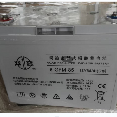 ˫ܱʽ 6-GFM-85(C20) 12V8***H