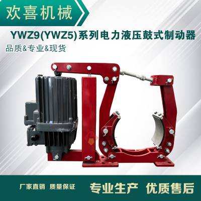 YWZ9/5系列电力液压鼓式制动器 型号YWZ9/5-500/80 ***