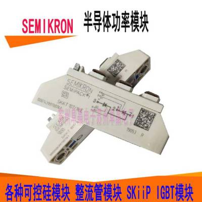 SKKT107/16E功率晶闸管模块 苏州阜晶电子原装可控硅