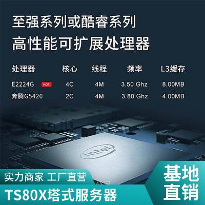 联想（Lenovo）ThinkServer TS80x 小型4U塔式服务器 ERP专用主机