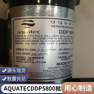 AQUATEC水泵DDP5800小型水泵隔膜泵5853-2S67-B664