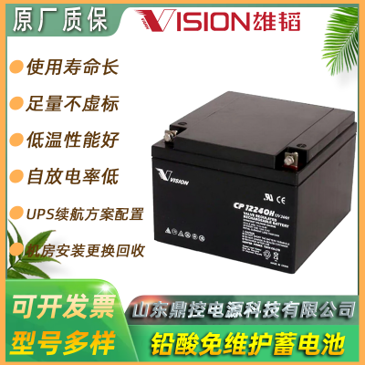 雄韬VISION威神6FM100RY-X长 寿命铅酸蓄电池12V100AH中小企业机房