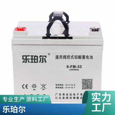 乐珀尔蓄电池6-GFM-38 铅酸免维护12V38AH UPS 直流屏电源配套