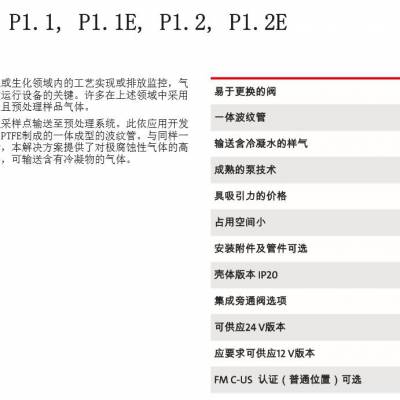 ¹ Buehler CEMS P1.1P1.1E 