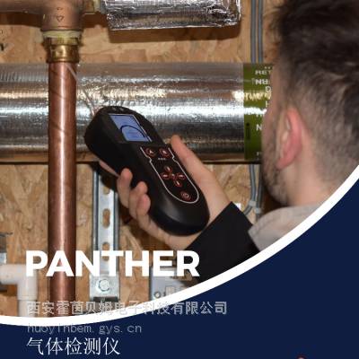 ӢPanther Яʽ ɼ 