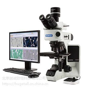 正置金相显微镜BX53M