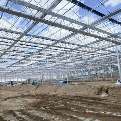 上海太勇迪士尼乐园工程专用U型阳光板、东方明珠塔参观通道车棚专用阳光板、车棚专用透明米子阳光板