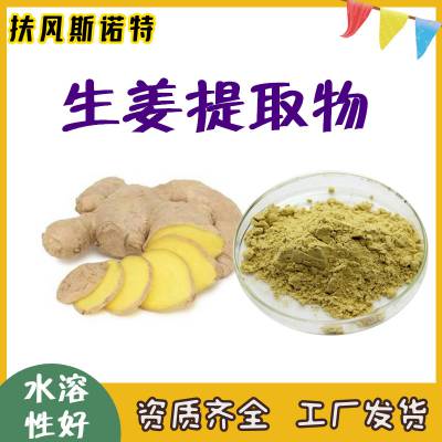 生姜提取物 姜辣素5%斯诺特食品级原料 规格：10:1 水提溶解性好