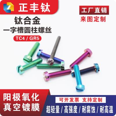 钛合金螺丝TC4 一字槽圆柱螺丝钉 耐腐蚀高强度螺栓 来图加工定制