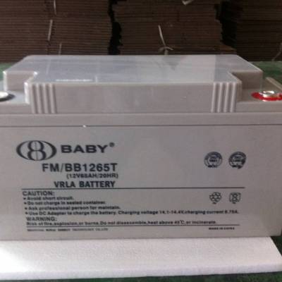 豴FM/BB12100T豴12V100AHֱ UPSԴ רóֱ