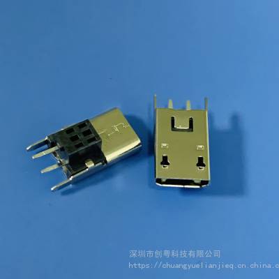 MICRO 2Pֱĸ ֱʽDIP H=13.0/14.0/15.0MM 2P 