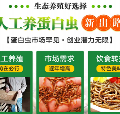 重庆江北正规农优蛋白虫养殖项目招商回收