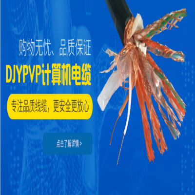 ZR-DJVVP 8对铠装阻燃计算机电缆DJYPVRP22信号线