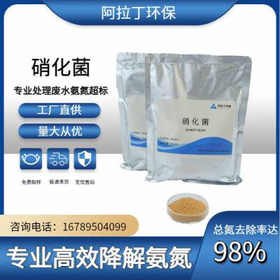 降解氨氮专用硝化菌 氨氮去除率降可达95% 高效率 低成本