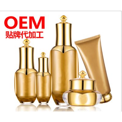 化妆品oemodm贴牌-化妆品oemodm-天雅***工厂