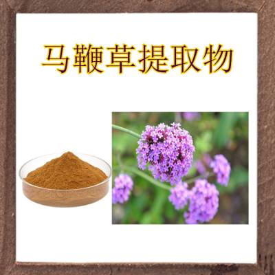 马鞭草提取物 10:1 喷雾干燥马鞭草粉