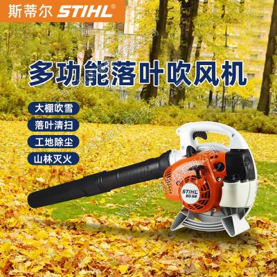 STIHL˹ٶBG56ʽﴵѩҶʴһ