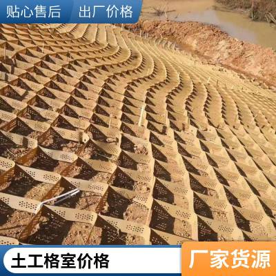 铁路路基桥梁堤坝加筋固土世杰土工格室护坡植草蜂巢网格约束系统