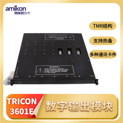 9563-810߰TRICON