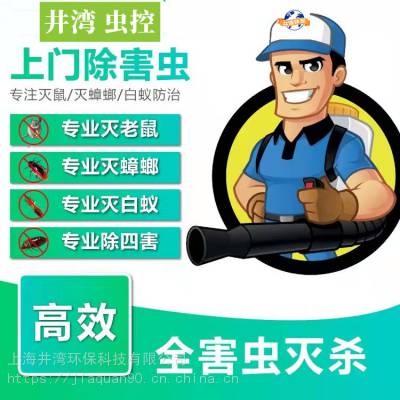 家庭上门抓老鼠灭鼠公司电话-上海专业杀虫施工单位