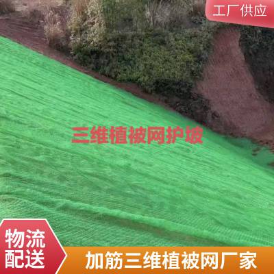世杰复合土工网垫 垃圾场固土隔离用立体排水网垫 加筋三维植被网