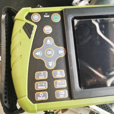 兽用B超测孕仪 宠物B超 兽用掌上B超