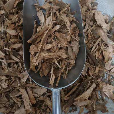 中药材闹羊花根