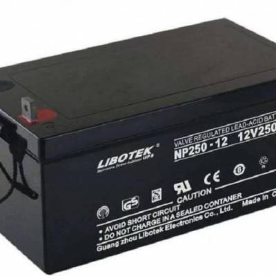 LIBOTEK力博特蓄电池NP200-12 12V200AH太阳能光伏离网系统