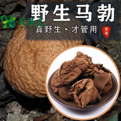 马勃中药材 马勃菌批发 药食同源担子菌门马勃科菌类