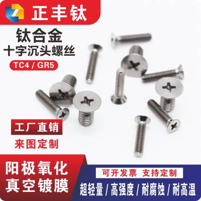 钛合金沉头内六角螺丝 螺钉 M2M3M4M5M6M8 TC4/TA2 国标 纯钛 平头螺栓