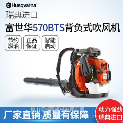 570BTSʽѩɳʯ主