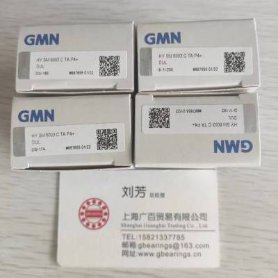 德国GMN轴承销售 HYKH61902C HYKH61902E轴承 GMN单向轴承密封件