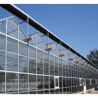 小型玻璃温室/青州鑫泽供应玻璃温室骨架