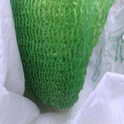 工程挖方裸土盖土网 施工用覆盖土的网 温室大棚防尘网