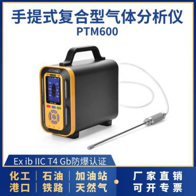 气体检测仪PTM600可用于石油化工天然气餐饮环境等检测