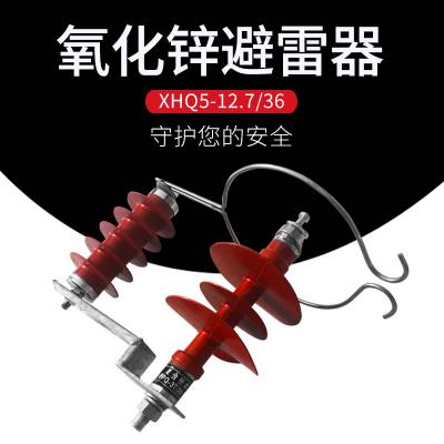 10KV氧化锌一体式 避雷器 XHQ5-12.7/36 可卸式型号其全