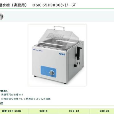 日本OSK精机 外泵/INTEGRATOR泵分配器 /LAMBDA滚筒泵