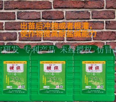 云南农业微生物菌剂 服务到位 宁夏五丰农业科技供应