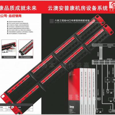 安普康(AMPCOM)六类48口机柜配线架千兆工程数据中心机房2U机架模块网络跳线对接理线配线槽 A